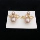 2023FW Earrings DIOR Dior Popular new items that are definitely recommended 2023FW Earrings DIOR Dior Popular new items that are definitely recommended