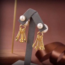 2023FW Earrings DIOR Dior Popular new items for this fall