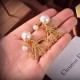 2023FW Earrings DIOR Dior Popular new items for this fall 2023FW Earrings DIOR Dior Popular new items for this fall