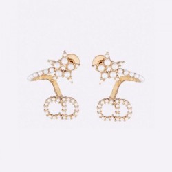2023FW Earrings DIOR Dior Charming style