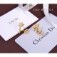 2023FW Earrings DIOR Dior Charming style 2023FW Earrings DIOR Dior Charming style