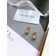 2023FW earrings DIOR Dior playful items 2023FW earrings DIOR Dior playful items