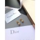 2023FW earrings DIOR Dior playful items 2023FW earrings DIOR Dior playful items