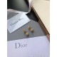 2023FW earrings DIOR Dior playful items 2023FW earrings DIOR Dior playful items