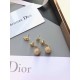 2023FW earrings DIOR Dior playful items 2023FW earrings DIOR Dior playful items