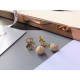 2023FW earrings DIOR Dior playful items 2023FW earrings DIOR Dior playful items