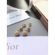 2023FW earrings DIOR Dior playful items 2023FW earrings DIOR Dior playful items