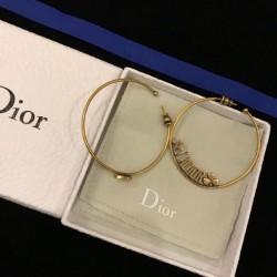2023FW Earrings DIOR Dior Cooler than it looks