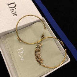 2023FW Earrings DIOR Dior Cooler than it looks
