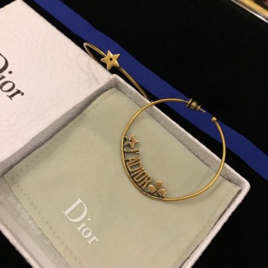 2023FW Earrings DIOR Dior Cooler than it looks 2023FW Earrings DIOR Dior Cooler than it looks