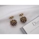 2023FW Earrings DIOR Dior Autumn/Winter new items that are attracting a lot of attention 2023FW Earrings DIOR Dior Autumn/Winter new items that are attracting a lot of attention