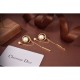 2023FW Earrings DIOR Dior Urban style 2023FW Earrings DIOR Dior Urban style