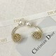 2023FW earrings DIOR Dior essential items for autumn 2023FW earrings DIOR Dior essential items for autumn