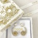 2023FW earrings DIOR Dior essential items for autumn 2023FW earrings DIOR Dior essential items for autumn