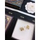2023FW Earrings DIOR Dior Cute Sold out Very popular 2023FW Earrings DIOR Dior Cute Sold out Very popular