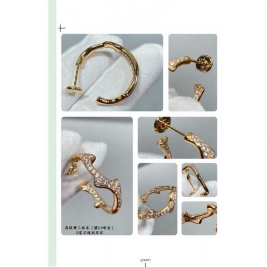 DIOR Dior Limited Release New Winter 2023FW Earrings DIOR Dior Limited Release New Winter 2023FW Earrings
