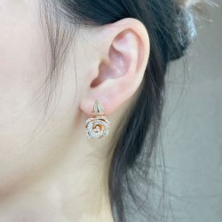 DIOR Dior New winter 2023FW earrings you can't miss