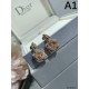 DIOR Dior New winter 2023FW earrings you can't miss DIOR Dior New winter 2023FW earrings you can't miss