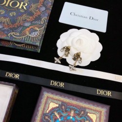 DIOR Dior 2023FW earrings to watch this fall/winter