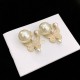 DIOR Now in stock 2023FW earrings DIOR Now in stock 2023FW earrings