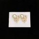 DIOR Now in stock 2023FW earrings DIOR Now in stock 2023FW earrings