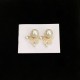 DIOR Now in stock 2023FW earrings DIOR Now in stock 2023FW earrings