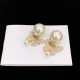 DIOR Now in stock 2023FW earrings DIOR Now in stock 2023FW earrings