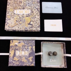 DIOR Dior New Winter 2023FW earrings you can't take your eyes off of