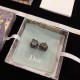 DIOR Dior New Winter 2023FW earrings you can't take your eyes off of DIOR Dior New Winter 2023FW earrings you can't take your eyes off of