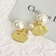 DIOR Dior New masterpiece 2023FW earrings DIOR Dior New masterpiece 2023FW earrings