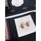 DIOR Latest popular sale this winter 2023FW earrings DIOR Latest popular sale this winter 2023FW earrings