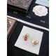 DIOR Latest popular sale this winter 2023FW earrings DIOR Latest popular sale this winter 2023FW earrings