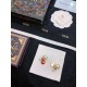 DIOR Latest popular sale this winter 2023FW earrings DIOR Latest popular sale this winter 2023FW earrings