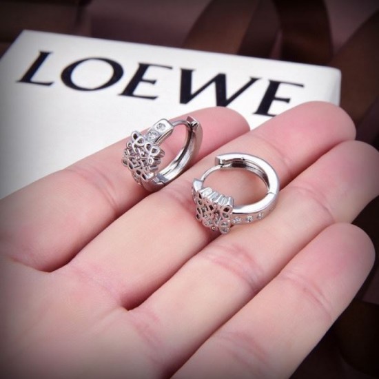 LOEWE 2023FW earrings like beautiful winter colors LOEWE 2023FW earrings like beautiful winter colors