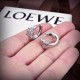 LOEWE 2023FW earrings like beautiful winter colors LOEWE 2023FW earrings like beautiful winter colors
