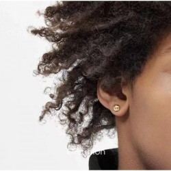 2023SS Earrings Comfortable LOUIS VUITTON Louis Vuitton