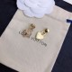 LOUIS VUITTON Adult and elegant 2023FW earrings LOUIS VUITTON Adult and elegant 2023FW earrings