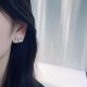 2023FW Earrings VALENTINO Also available as a limited gift 2023FW Earrings VALENTINO Also available as a limited gift