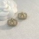 2023FW Earrings VALENTINO Also available as a limited gift 2023FW Earrings VALENTINO Also available as a limited gift
