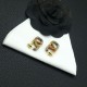 VALENTINO This year's popular 2023FW earrings VALENTINO This year's popular 2023FW earrings