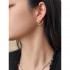 VALENTINO Very difficult to obtain 2023FW earrings