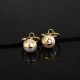 VALENTINO Long-awaited product 2023FW earrings VALENTINO Long-awaited product 2023FW earrings