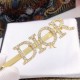 2023SS hair ornament This spring's most popular brand DIOR Dior 2023SS hair ornament This spring's most popular brand DIOR Dior