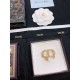 2023SS hair ornament Enjoy the latest style of spring DIOR Dior 2023SS hair ornament Enjoy the latest style of spring DIOR Dior