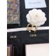 2023SS hair ornament Enjoy the latest style of spring DIOR Dior 2023SS hair ornament Enjoy the latest style of spring DIOR Dior