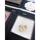 2023SS hair ornament Enjoy the latest style of spring DIOR Dior 2023SS hair ornament Enjoy the latest style of spring DIOR Dior