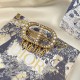 DIOR Latest advance fashionable logo 2023FW hair ornament DIOR Latest advance fashionable logo 2023FW hair ornament