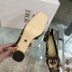 DIOR Dior Pumps 2023AW Popular among fashionable people DIOR Dior Pumps 2023AW Popular among fashionable people