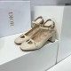 2023SS Pumps Last Spring/Summer Collection DIOR Dior 2023SS Pumps Last Spring/Summer Collection DIOR Dior