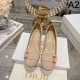 New arrival pumps that are sure to be a hit 2023FW DIOR New arrival pumps that are sure to be a hit 2023FW DIOR